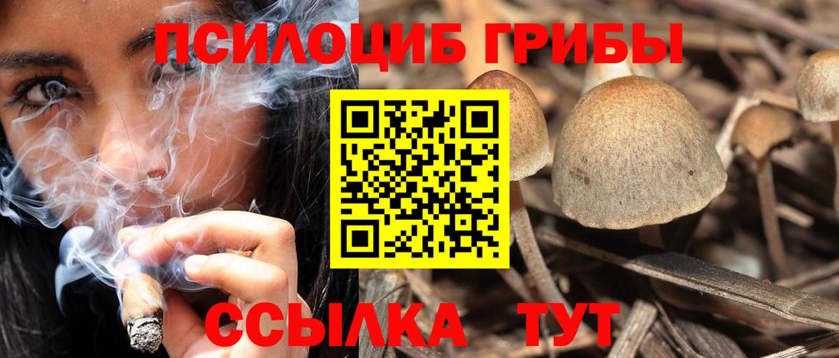 Туапсе  Псилоцибиновые грибы прущие грибы  Вход с VPN 