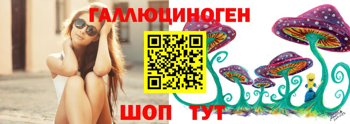 Псилоцибиновые грибы Cubensis Туапсе